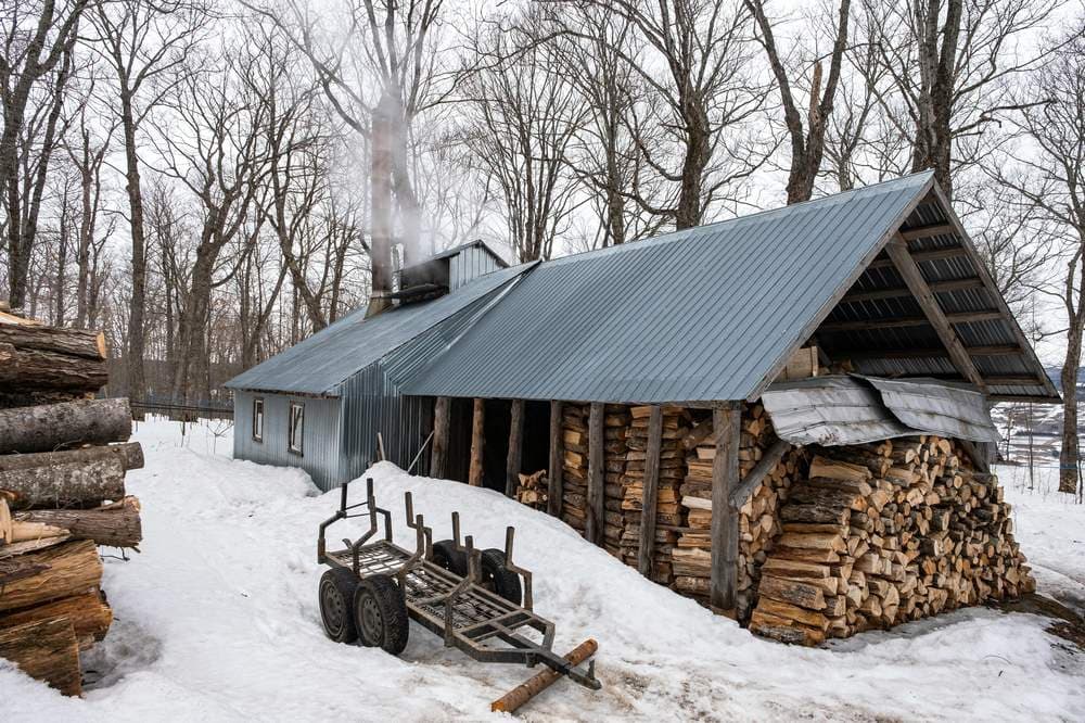 Weather and Seasons in Maple Town